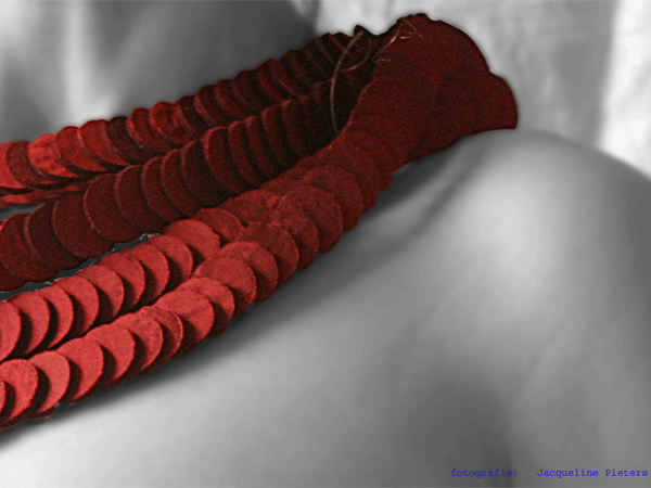 detail_zilver_gezwart